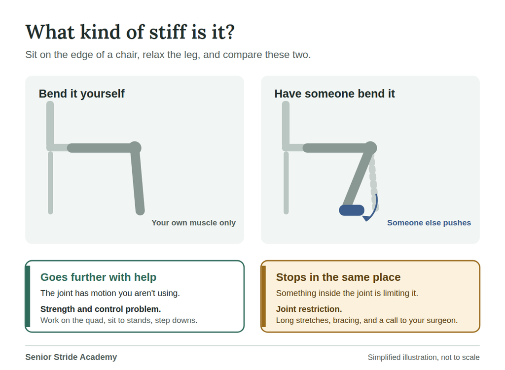 Diagram comparing how far a knee bends on its own versus with help, and what each result means after knee replacement.